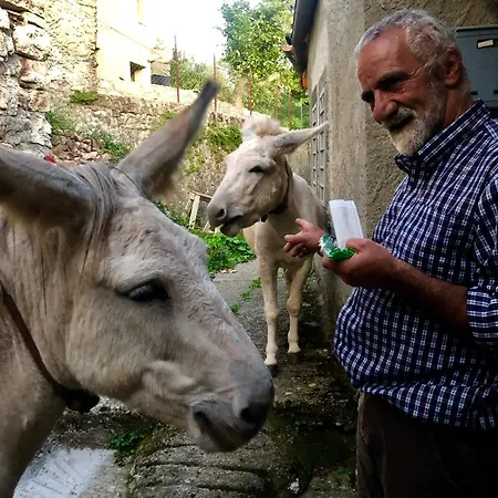 Viandanti, Artisti E Sognatori Comano (Tuscany)