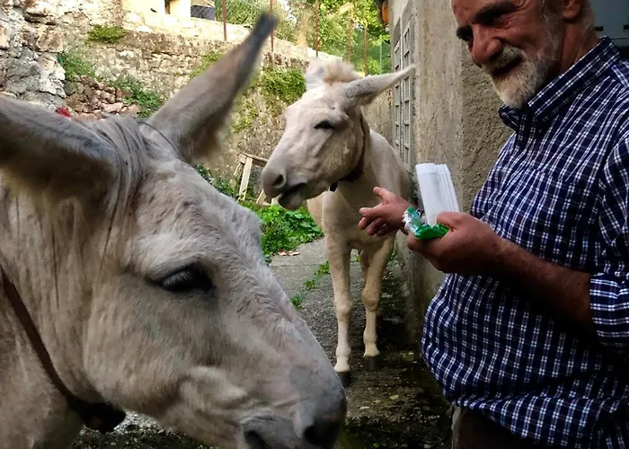 Viandanti, Artisti E Sognatori Comano (Tuscany)