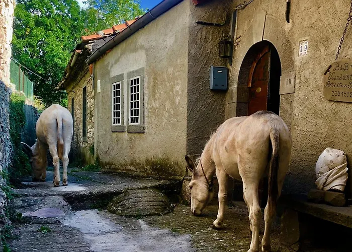 Bed & Breakfast Viandanti, Artisti E Sognatori